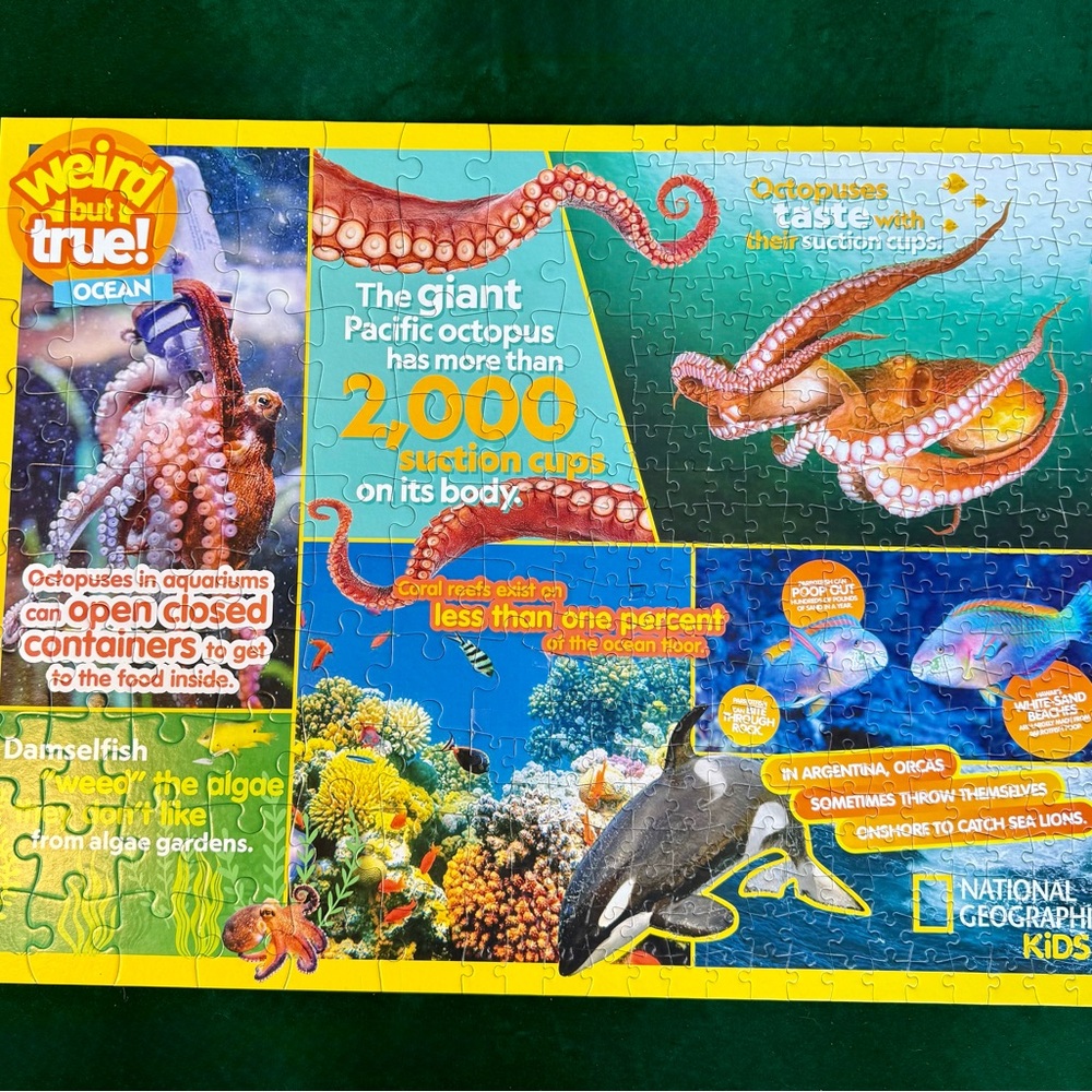National Geographic Kids Weird But True Ocean Puzzle * 400 Pieces * BuffaloGames